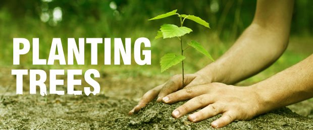 Planting trees according to vastu