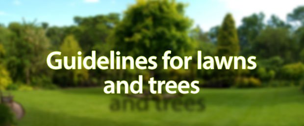 Vastu for lawns and trees