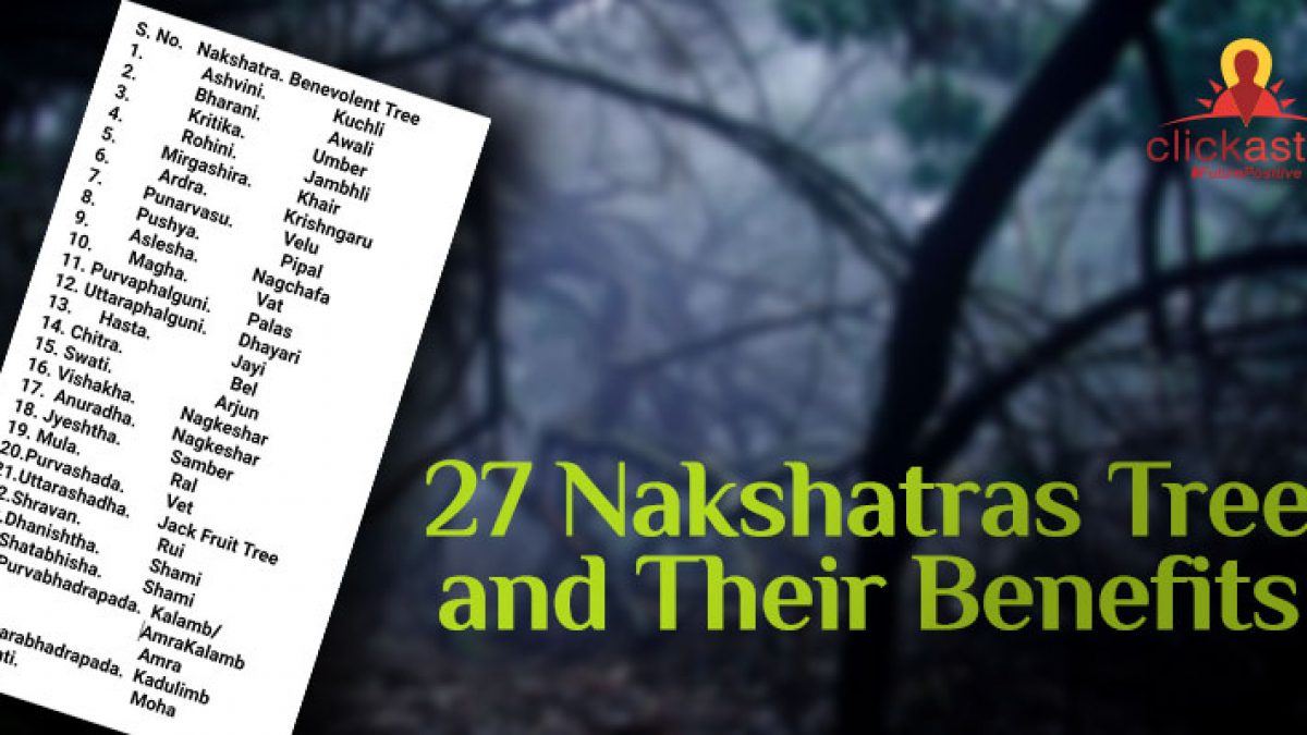 Find the 27 Nakshatras Trees and Their Benefits Find the 27 Nakshatras Trees and Their Benefits