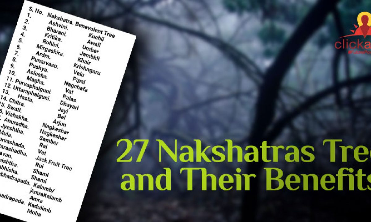 Find the 27 Nakshatras Trees and Their Benefits Find the 27 Nakshatras Trees and Their Benefits