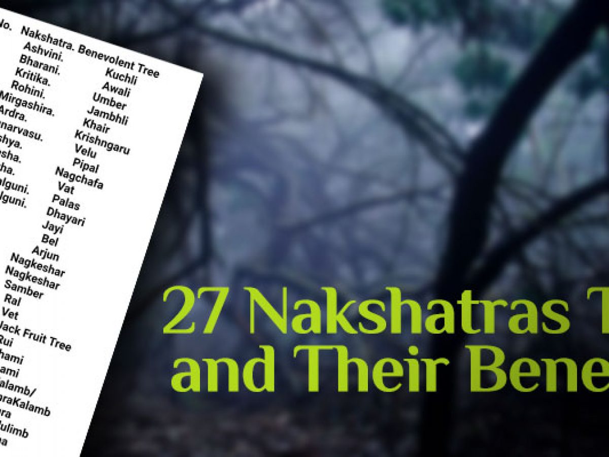 Find the 27 Nakshatras Trees and Their Benefits Find the 27 Nakshatras Trees and Their Benefits