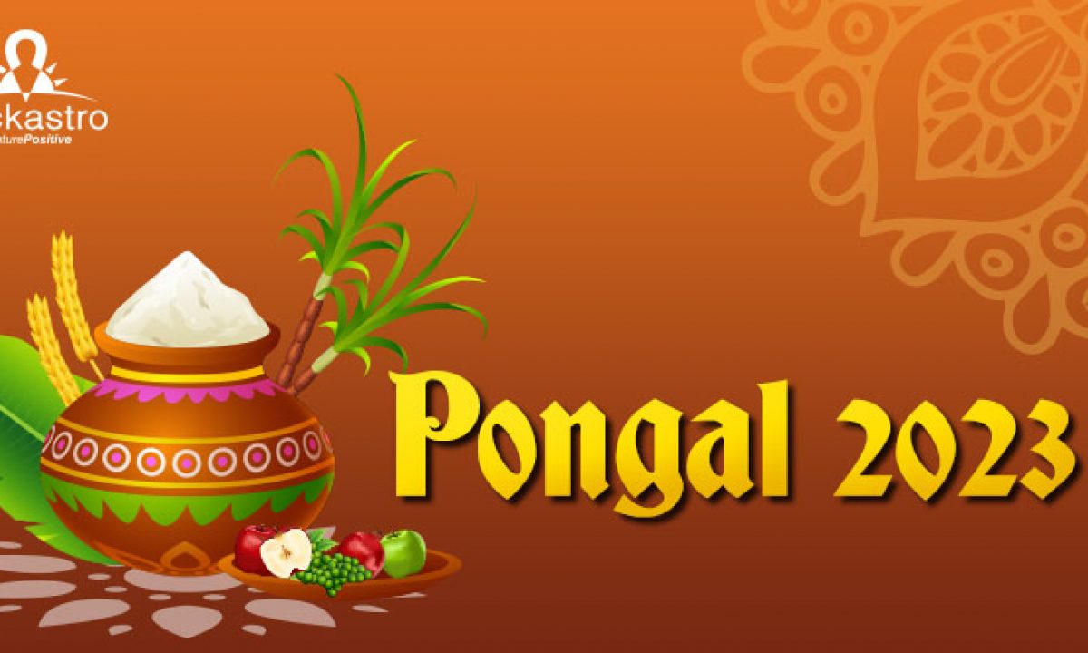 Pongal 2023 : Everything You Need to Know About Pongal ...