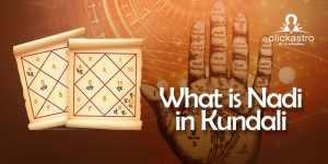 What is Nadi in Kundali
